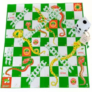 Giant Snakes and Ladders 1