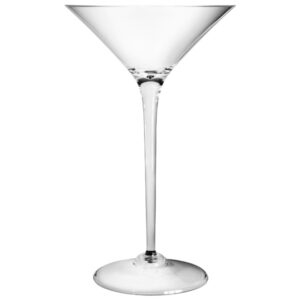 Plastic Martini Glass